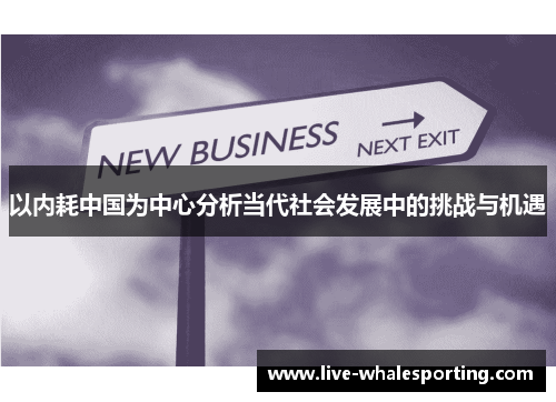 以内耗中国为中心分析当代社会发展中的挑战与机遇