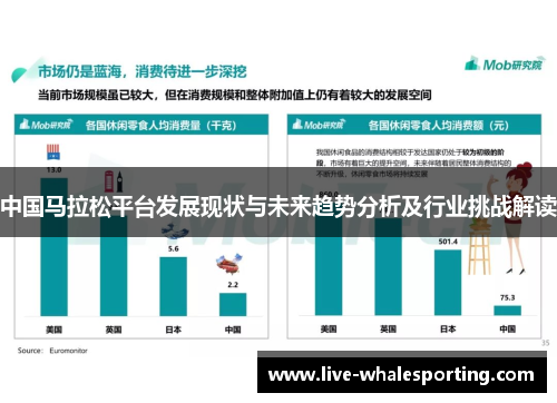 中国马拉松平台发展现状与未来趋势分析及行业挑战解读