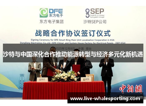 沙特与中国深化合作推动能源转型与经济多元化新机遇