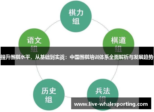 提升围棋水平，从基础到实战：中国围棋培训体系全面解析与发展趋势